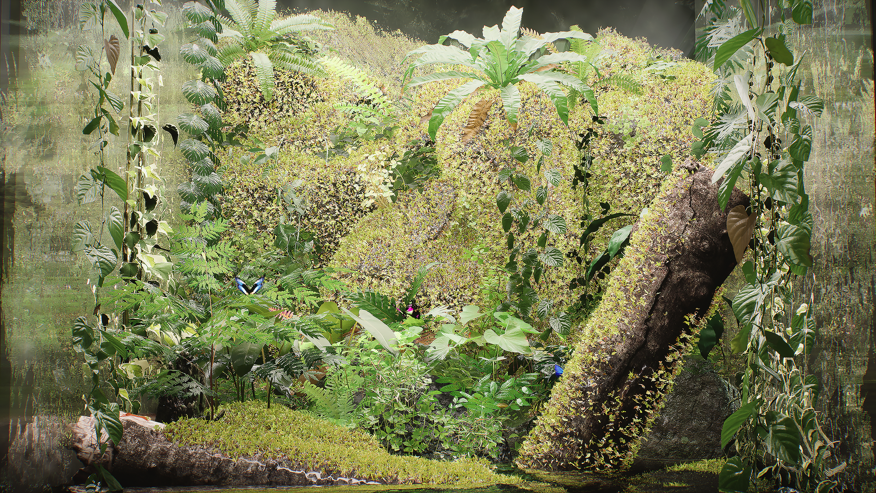 Terrarium_Landscape