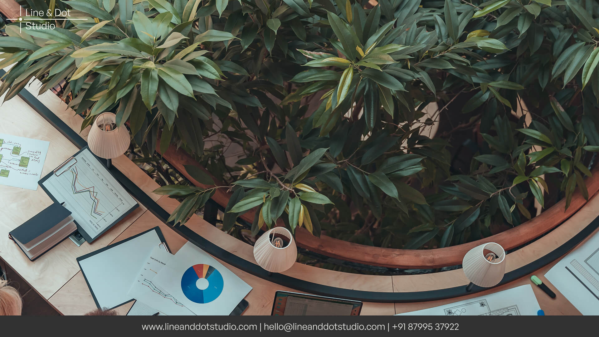 Large workspace surrounding a tall plantation zone in an office incorporating biophilic design principles
